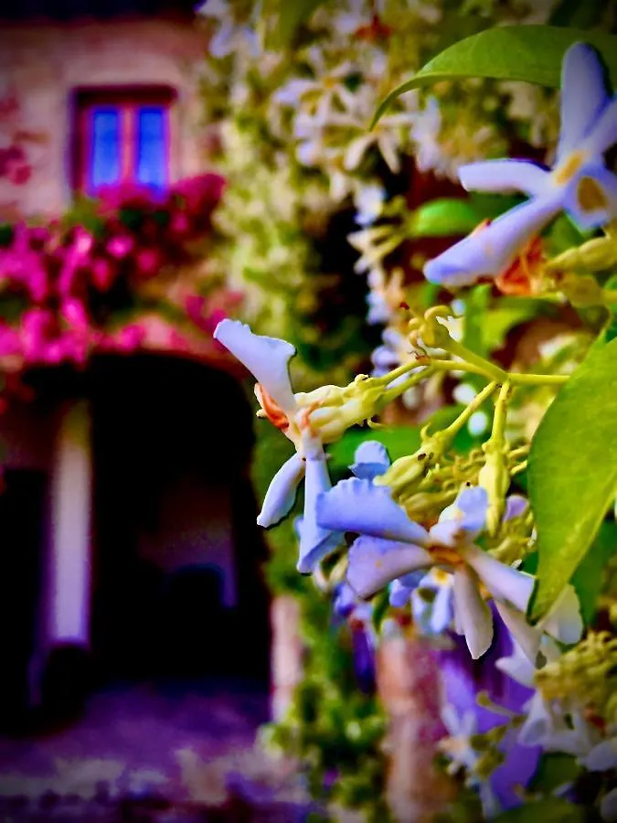 Appartement Podere Di Belforte Bagno a Ripoli Italië