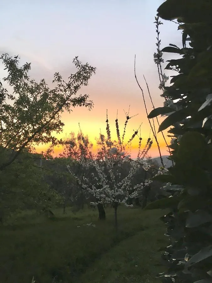 Podere Di Belforte Bagno A Ripoli
